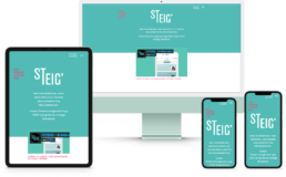 Webdesign Referenz: Steig'