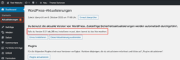 WordPress Versionsnummer bei den Aktualisierungen