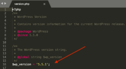 WordPress version.php Datei